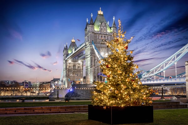 Tower Bridge in London bei Abendlicht mit geschmücktem Weihnachtsbaum im Vordergrund und beleuchteter Brücke