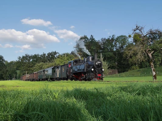 Historische Dampflok zieht Waggons durch gruene Talsenke neben Fluss, Berge und Wald im Hintergrund