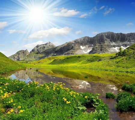 Alpiner Bergsee mit klarer Spiegelung der Berge, grüner Wiese und gelben Blumen unter strahlender Sonne